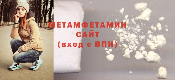 гидра Ельня