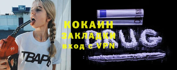 гидра Ельня