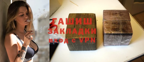 гидра Ельня