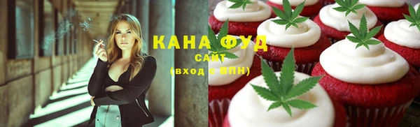 гидра Ельня