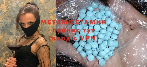гидра Ельня