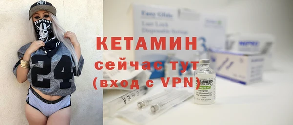 гидра Ельня