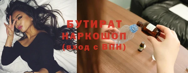 гидра Ельня