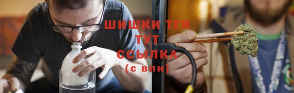 СК Елизово