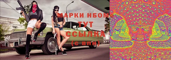 СК Елизово