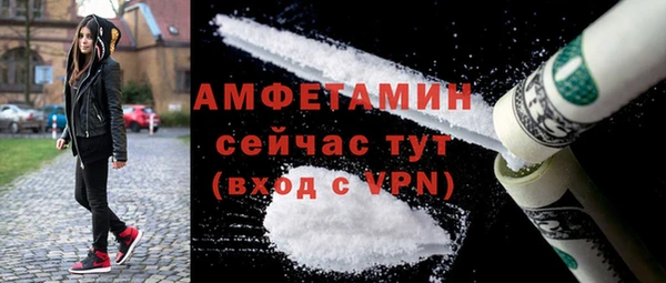 гидра Ельня