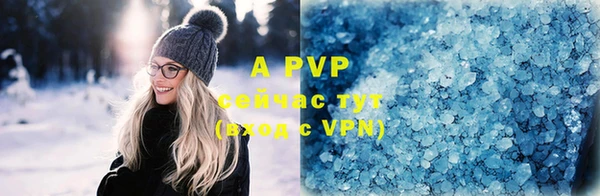 СК Елизово