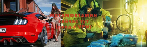гидра Ельня