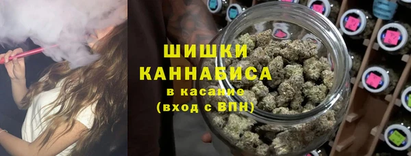 гидра Каменск-Шахтинский