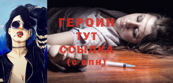 гидра Ельня